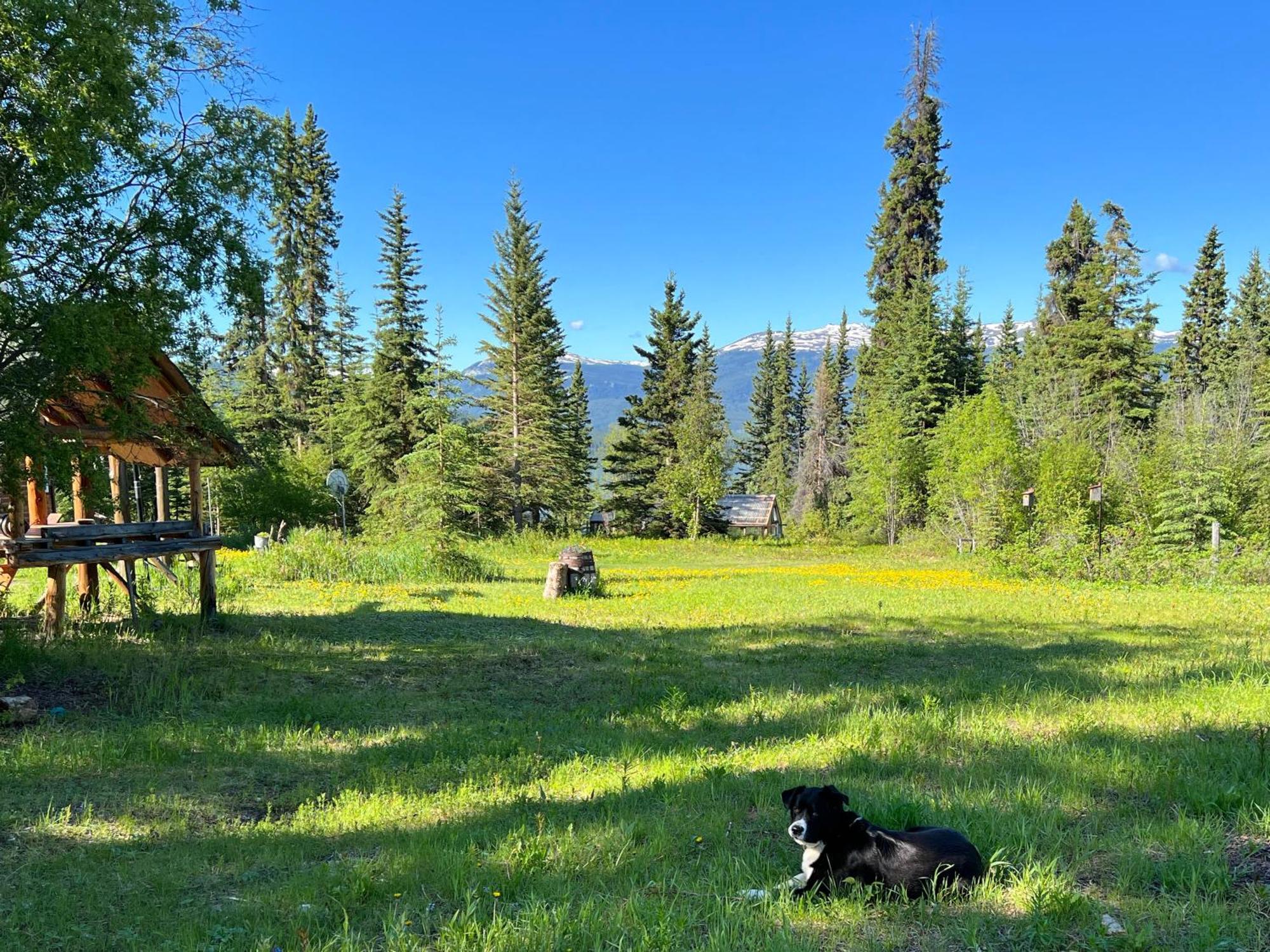 Little Atlin Lodge Tagish Exterior foto